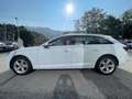Audi A4 Avant 2.0 TDI 190 CV quattro Sport Bianco - thumbnail 4