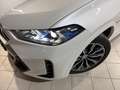 BMW X6 xDrive 30dA M Sport Blanco - thumbnail 6