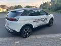 Peugeot 3008 Hybrid 225 GT Pack Weiß - thumbnail 5