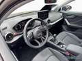 Audi Q2 adv. 35 TFSI - KAMERA - PANO - MATRIX - AHK Grau - thumbnail 7