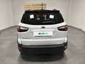 Ford EcoSport 1.0 Ecoboost 125cv S&S Active Bianco - thumbnail 4
