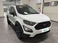 Ford EcoSport 1.0 Ecoboost 125cv S&S Active Bianco - thumbnail 5