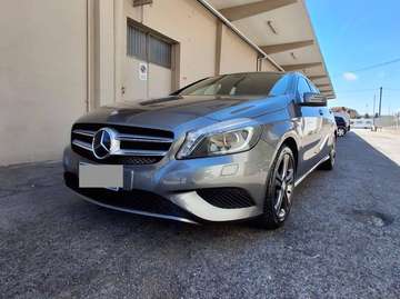 executive
