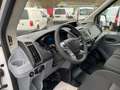 Ford Transit 350 L3H3 4x4 Mixto 6-Sitze+Werkstatt+AHK Weiß - thumbnail 12