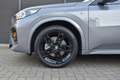 BMW X2 sDrive20i M Sport | ACC | E-Trekhaak Gris - thumbnail 11