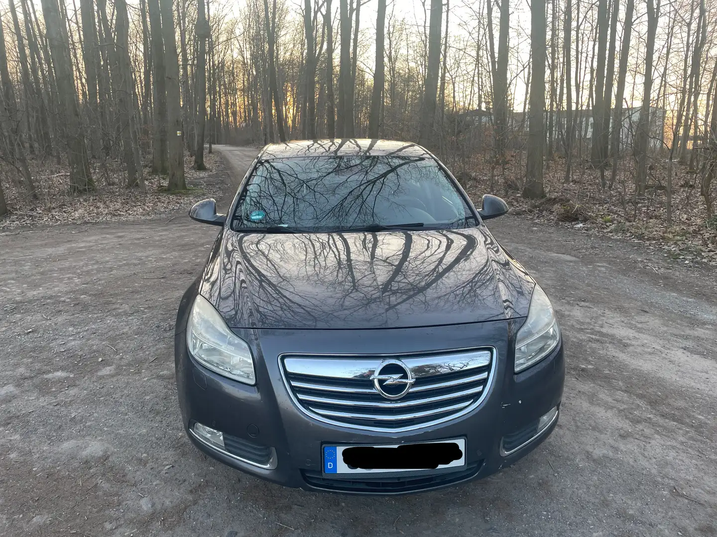 Opel Insignia 2.0 CDTI ecoflex Edition - 2