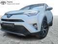 Toyota RAV 4 Style Bianco - thumbnail 1