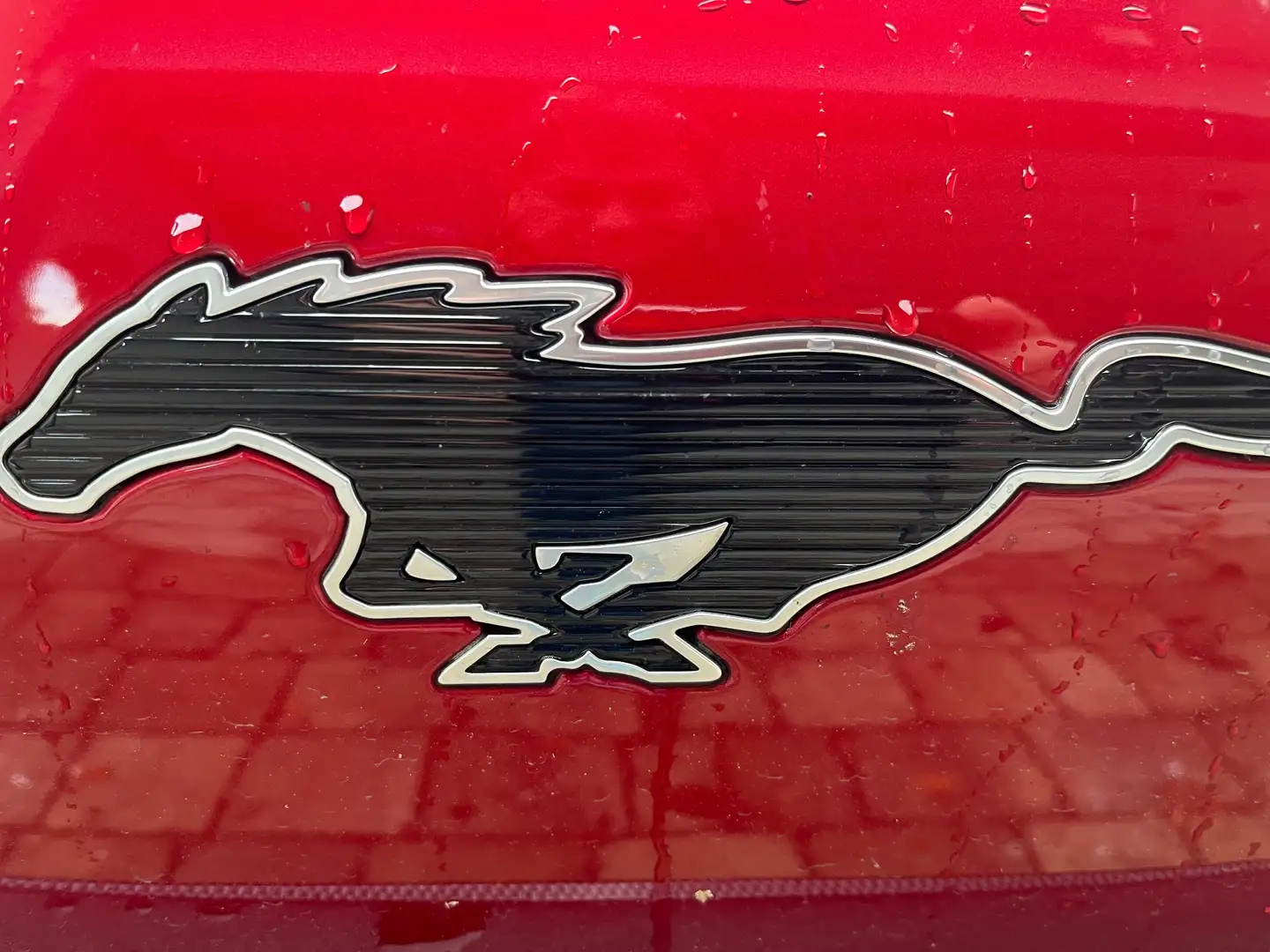 Ford Mustang Mach-E Mustang Mach-E Elektro First Edition First Edition Rot - 2