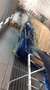 smart roadster Roadster 0.7 82cv Blau - thumbnail 19