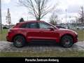 Porsche Macan GTS Luftfeder SportChrono Klimasitz Standheizung Rojo - thumbnail 6