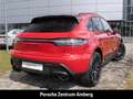 Porsche Macan GTS Luftfeder SportChrono Klimasitz Standheizung Rojo - thumbnail 5