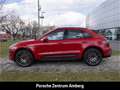 Porsche Macan GTS Luftfeder SportChrono Klimasitz Standheizung Rojo - thumbnail 2