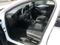 Ford Focus Turnier Cool & Connect,Navi,PDC,Kam,LH,Whz Weiß - thumbnail 34
