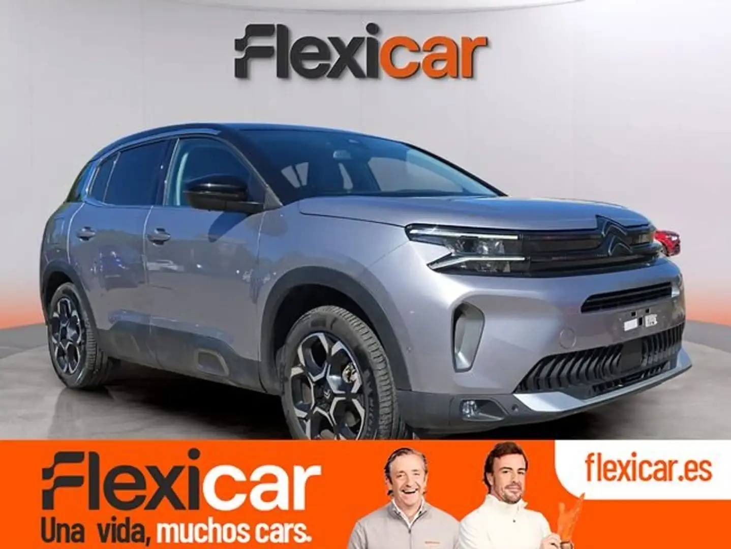 Citroen C5 Aircross BlueHDi S&S Max EAT8 130 Gris - 1