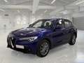 Alfa Romeo Stelvio 2.2 TD 160 CV Super Business AT8 RWD - thumbnail 1