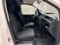 Volkswagen Caddy Kastenwagen Entry 2,0 TDI TOP PREIS Weiß - thumbnail 11