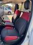 Fiat Panda Panda Van 1.2 POP 2 posti Blanc - thumbnail 3