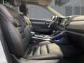 Renault Koleos 2.0 dCi 185 Initiale Paris Weiß - thumbnail 8