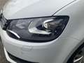 Volkswagen Sharan Comfortline 2.0TDI DSG.NAV.FernA.ACC.7-Si.Bi-XEN.S Білий - thumbnail 6