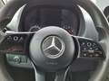 Mercedes-Benz Sprinter III Kasten 316 CDI L2/H1   *Mtl. 212 € Bianco - thumbnail 13