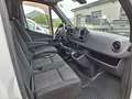 Mercedes-Benz Sprinter III Kasten 316 CDI L2/H1   *Mtl. 212 € Bianco - thumbnail 7