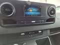 Mercedes-Benz Sprinter III Kasten 316 CDI L2/H1   *Mtl. 212 € Bianco - thumbnail 12