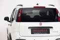 Fiat Sonstige Pandina Weiß - thumbnail 3