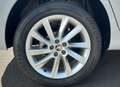 Skoda Kamiq Selection Advanced 1.0 TSI 85kW (115 CV) (NW Blanco - thumbnail 4