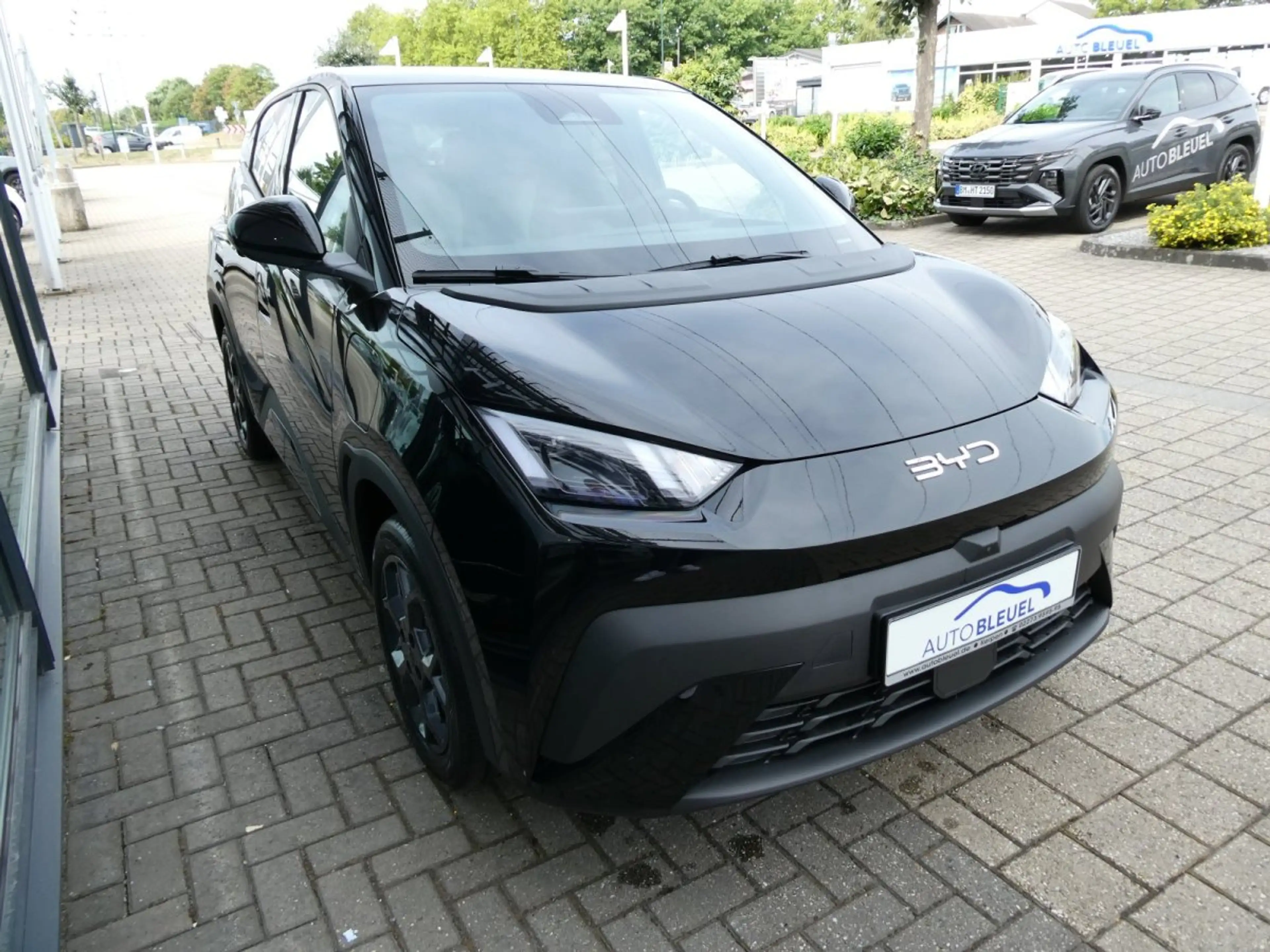 BYD Dolphin Surf Comfort 43kWh *Leder*LED*360-Grad*SHZ* — photo 5