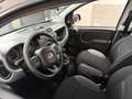 Fiat Panda Panda 1.0 hybrid Easy Connect s Gris - thumbnail 6