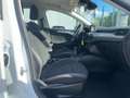 Ford Focus EcoBoost Cool & Connect Klima*Navi*Tempoma Weiß - thumbnail 10