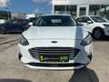 Ford Focus EcoBoost Cool & Connect Klima*Navi*Tempoma Weiß - thumbnail 23