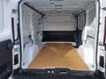 Renault Trafic FOURGON L1H1 3000 KG 150CV GRAND CONFORT PRIX 29990 HT Blanco - thumbnail 5