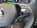 Skoda Karoq 4x4 Sportline TDI DSG Schwarz - thumbnail 19