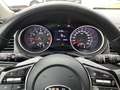 Kia XCeed Edition 7 1.5 T-GDI TEMP PDC SHZ KAM Blau - thumbnail 12