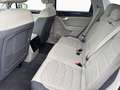Volkswagen Touareg Elegance 3.0 TDI 8-Gang Aut. 4MOTION AHK Weiß - thumbnail 12
