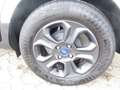 Ford EcoSport 1.0 EcoBoost COOL Weiß - thumbnail 7