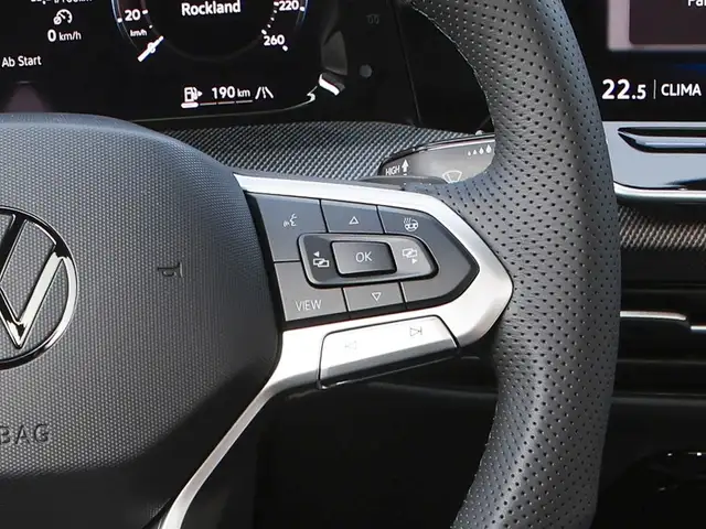 Volkswagen Golf view 13