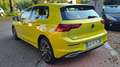 Volkswagen Golf Golf VIII 1.5 TGI DSG 130CV Style  OK NEOPATENTATI Grün - thumbnail 4