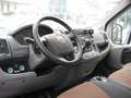 Fiat Ducato MAXI Blau - thumbnail 4