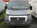 Fiat Ducato MAXI Blau - thumbnail 3