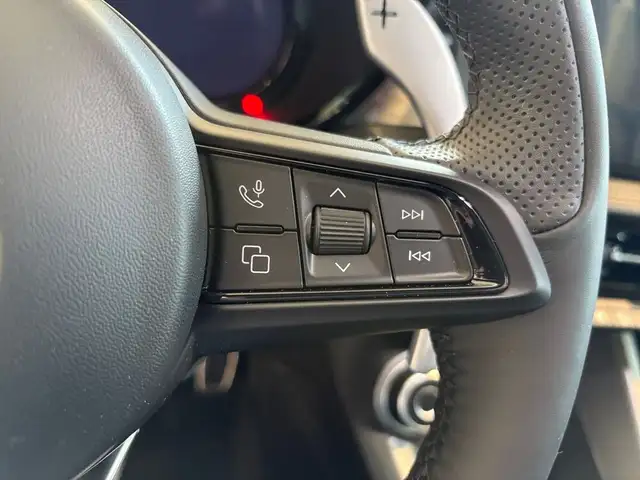 Alfa Romeo Tonale Ibrida 1.5 175 T4 VGT eDCT7 FWD Veloce Ansicht 31