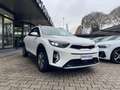 Kia Stonic 1.2 DPI Style #VARI.COLORI Bianco - thumbnail 3