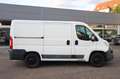 Citroen Jumper Kasten 30 L1H1 Profi HDi 110 l 1.HAND l Weiß - thumbnail 8