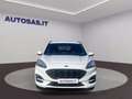 Ford Kuga 2.5 phev ST-Line X 2wd 225cv cvt Blanc - thumbnail 1