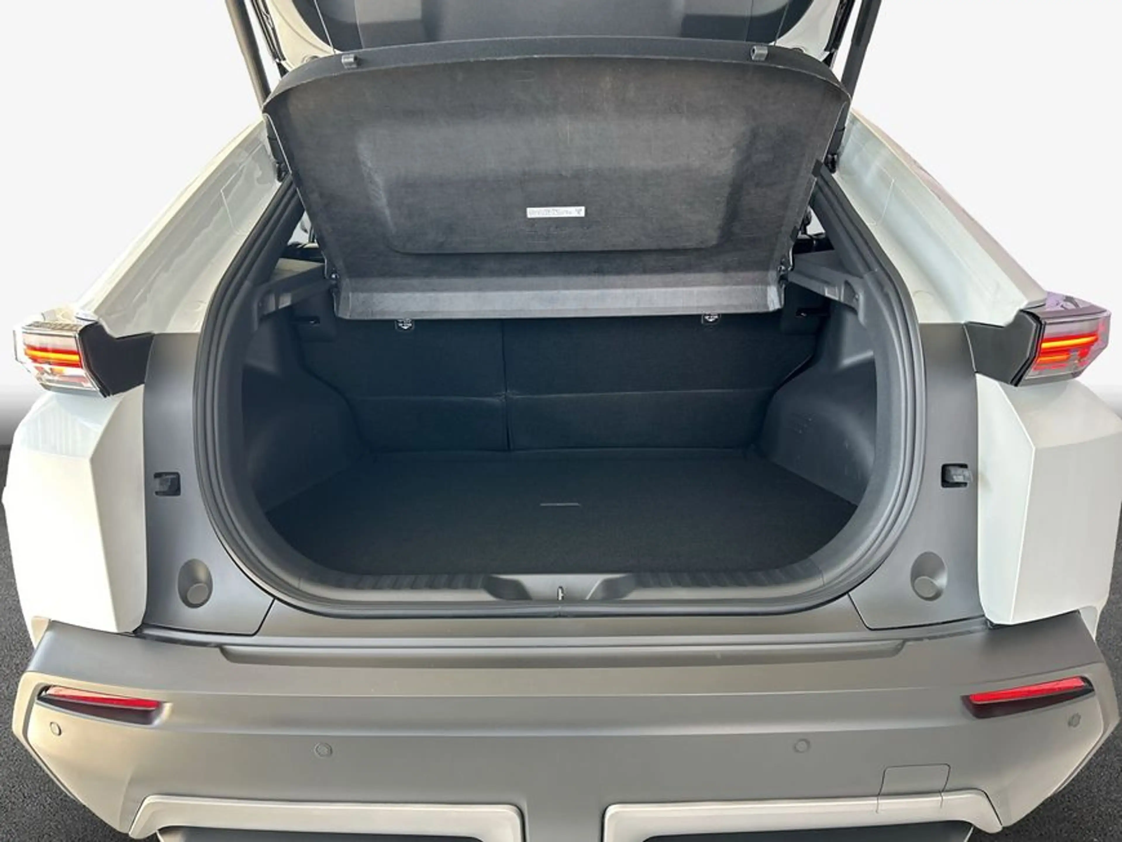 Toyota C-HR+ + Teamplayer 165 kW — photo 9