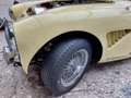 Austin-Healey 3000 BN /7 Gelb - thumbnail 3