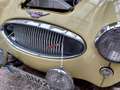 Austin-Healey 3000 BN /7 Gelb - thumbnail 2