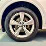 Audi Q5 35 TDI quattro S tronic S line * TAGLIANDI AUDI * Blanco - thumbnail 20