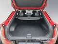 Kia EV6 58kWh Wärmepumpe Air Ass Drive Komfort Sound-Paket Rot - thumbnail 13